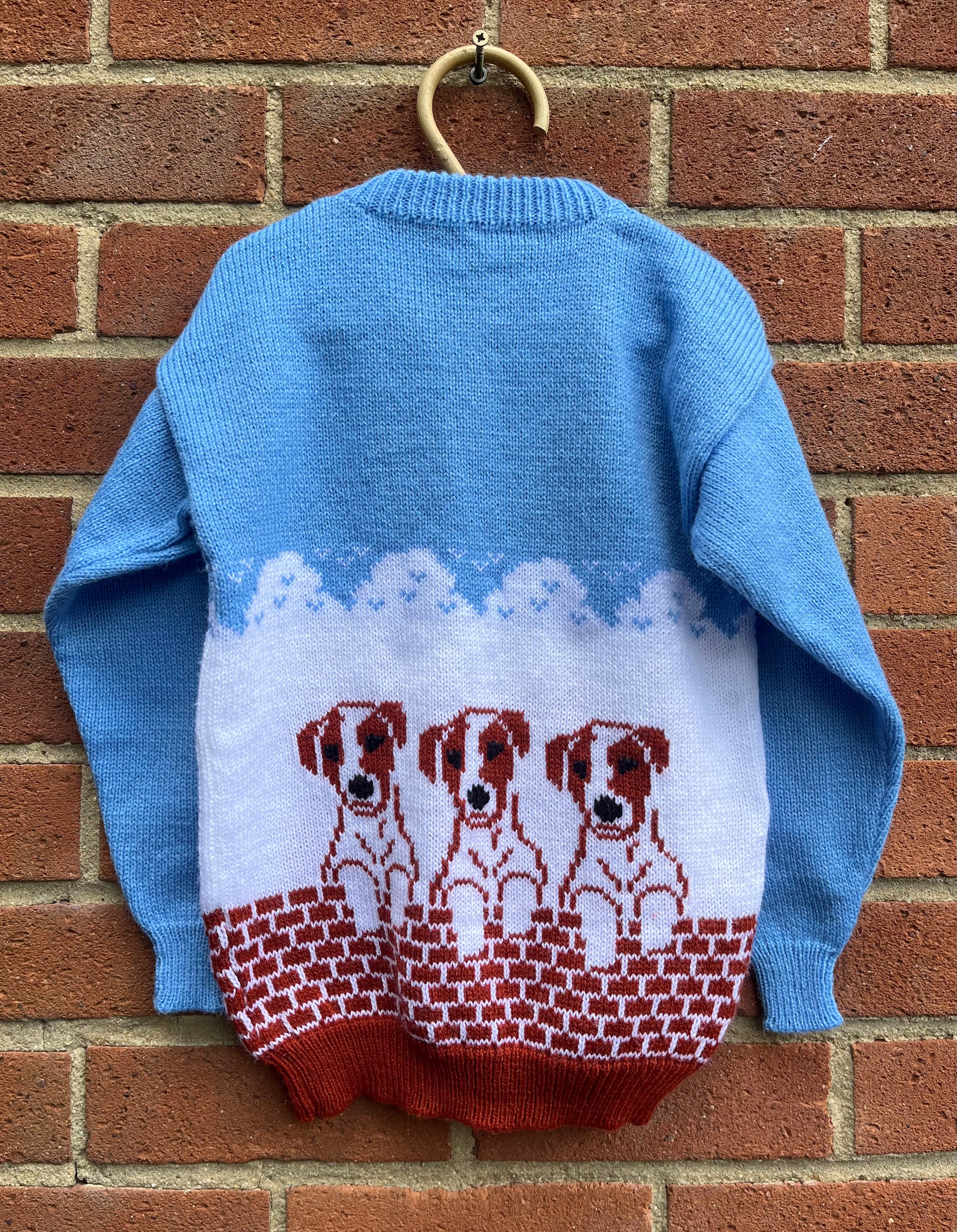 Blue Puppy Dog Hand Knitted Jumper ~ 5-6 Years