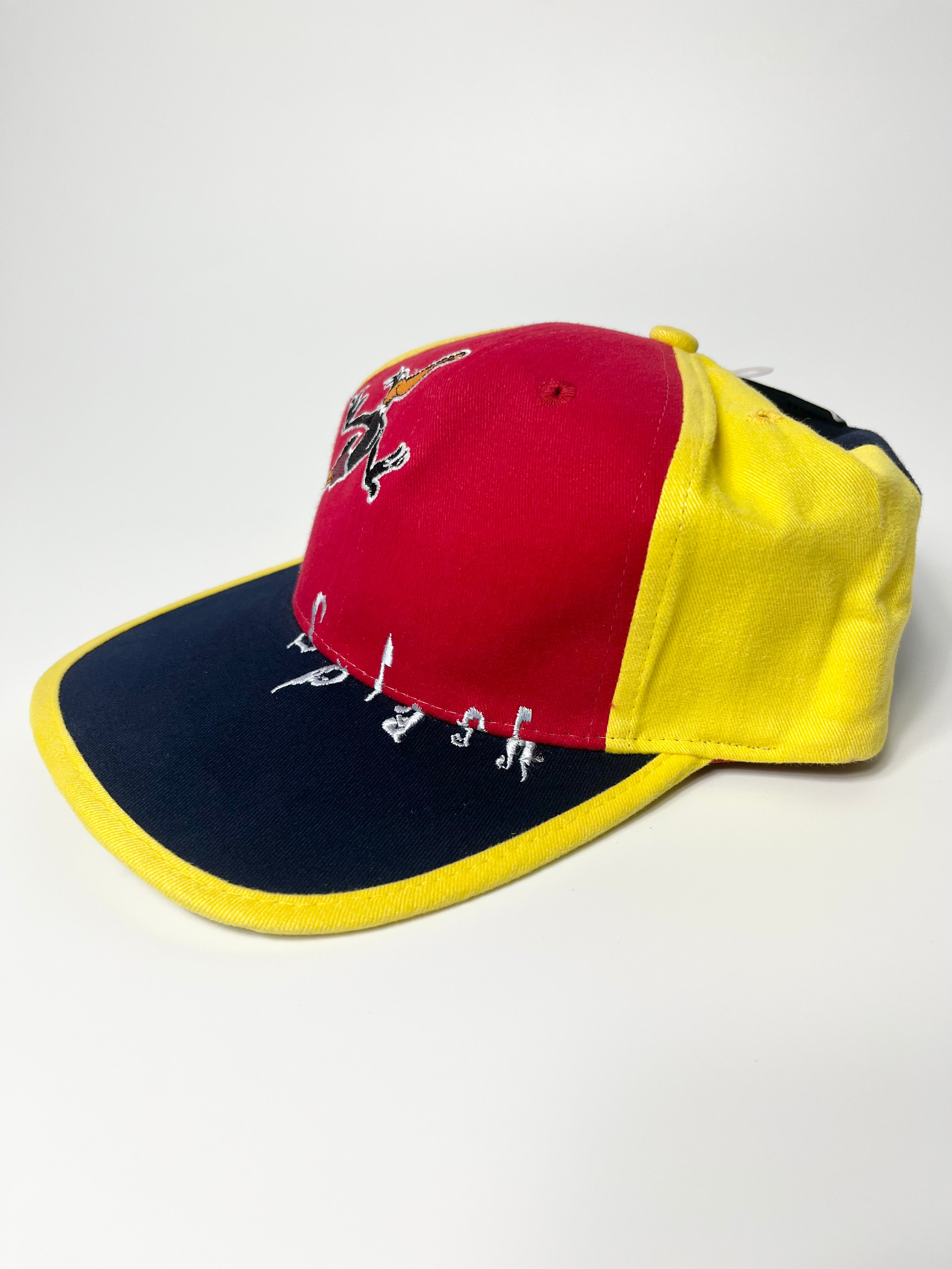 Vintage Deadstock Daffy Duck Colour Block SnapBack Cap