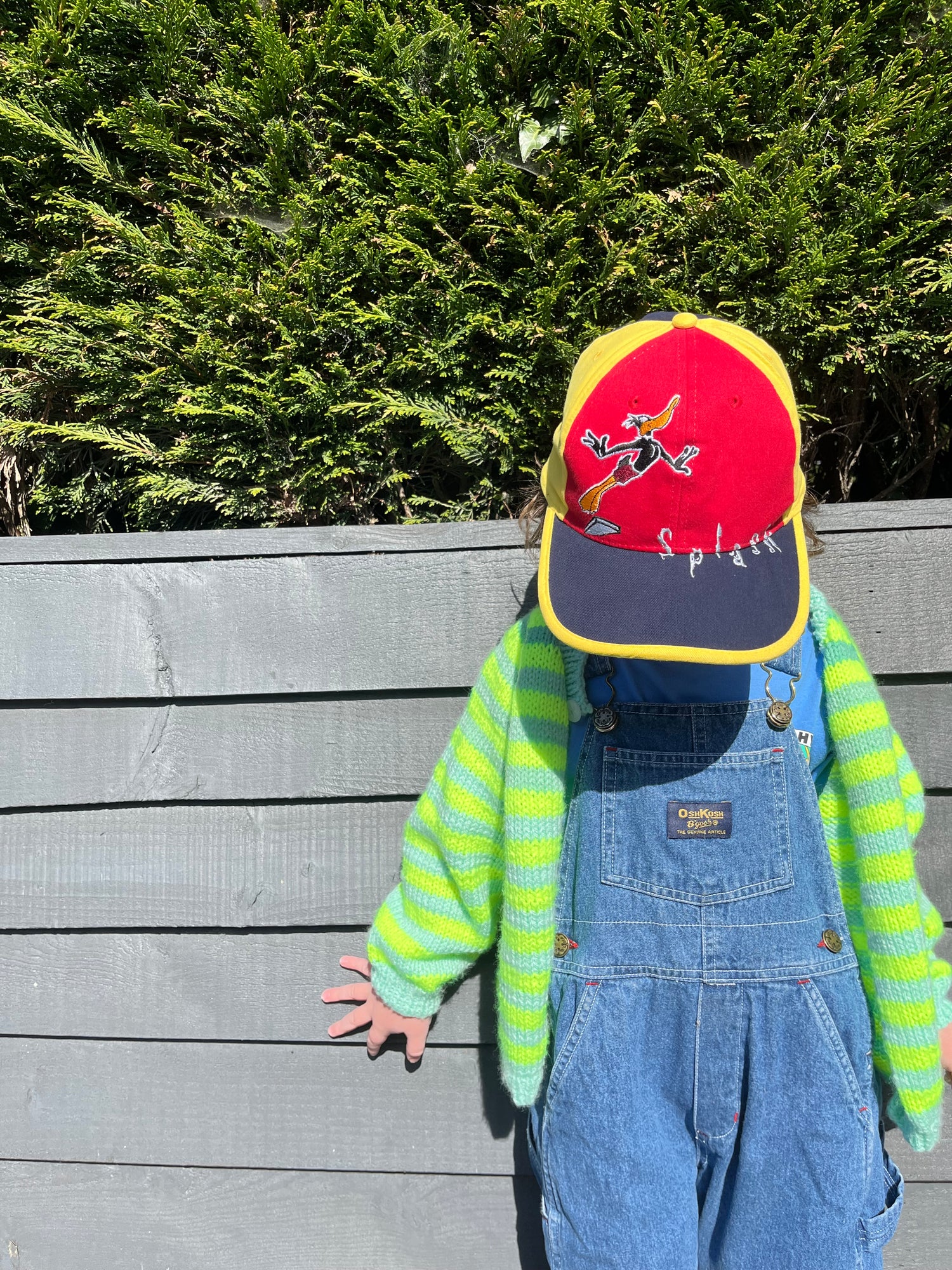 Vintage Deadstock Daffy Duck Colour Block SnapBack Cap