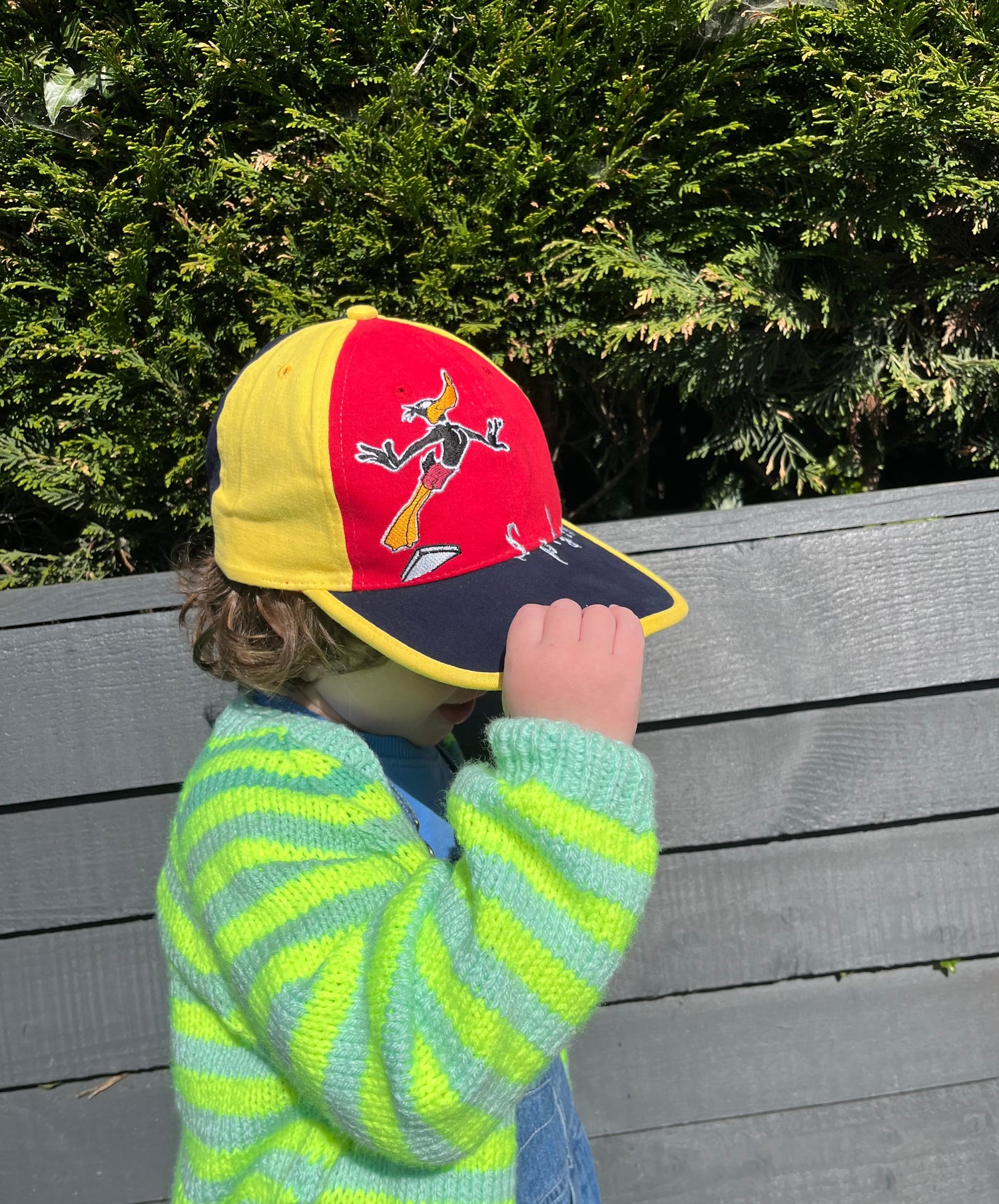 Vintage Deadstock Daffy Duck Colour Block SnapBack Cap