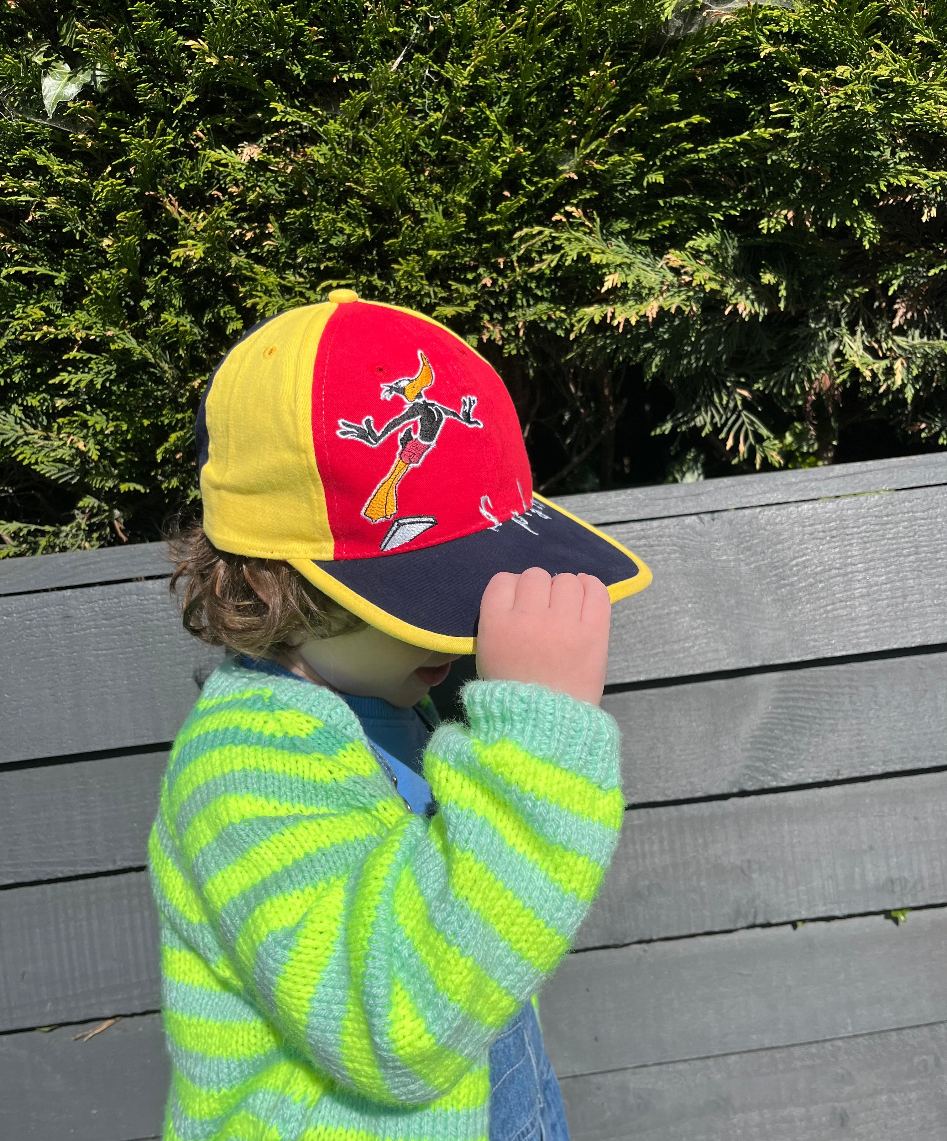 Vintage Deadstock Daffy Duck Colour Block SnapBack Cap