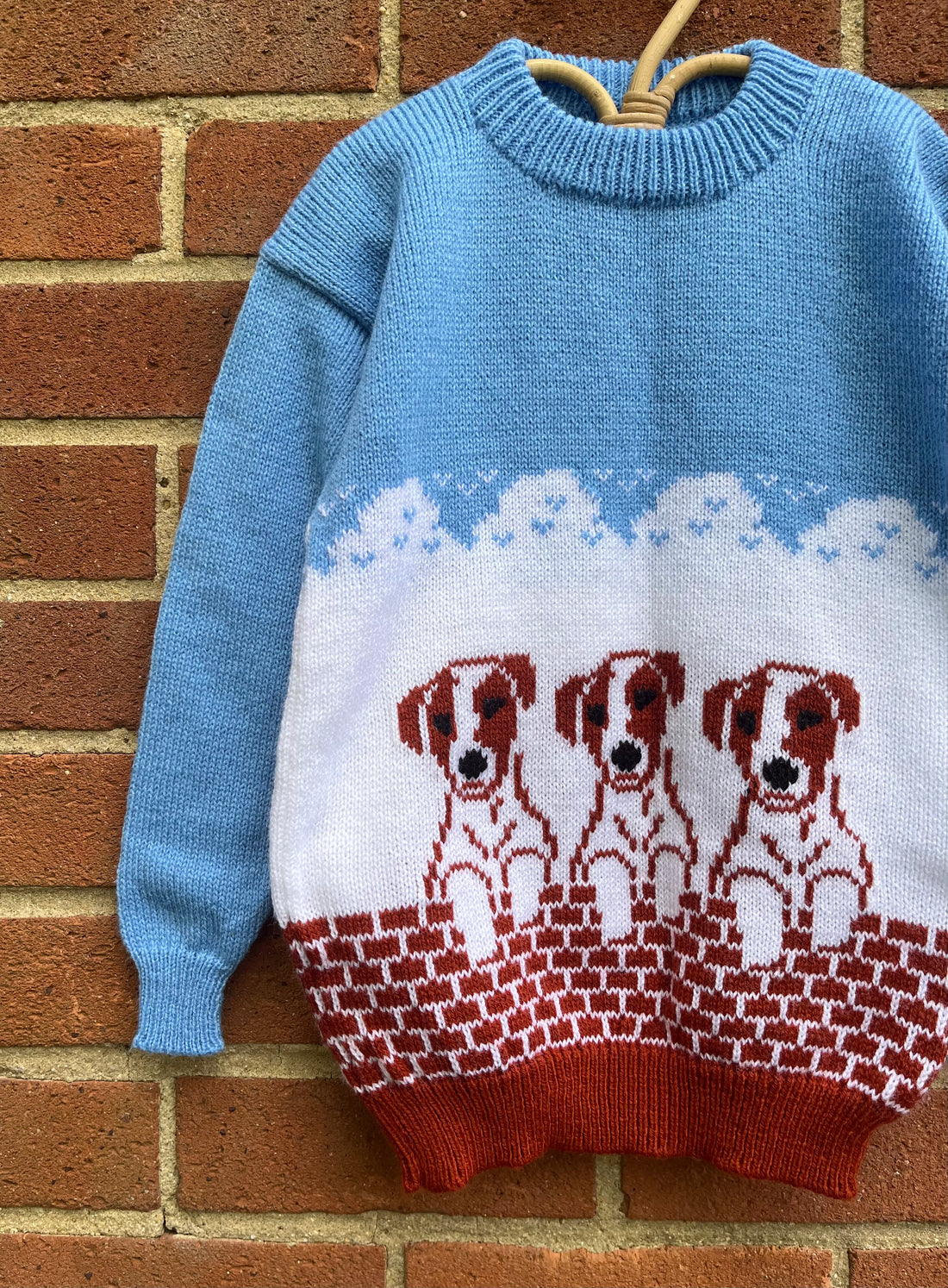 Blue Puppy Dog Hand Knitted Jumper ~ 5-6 Years