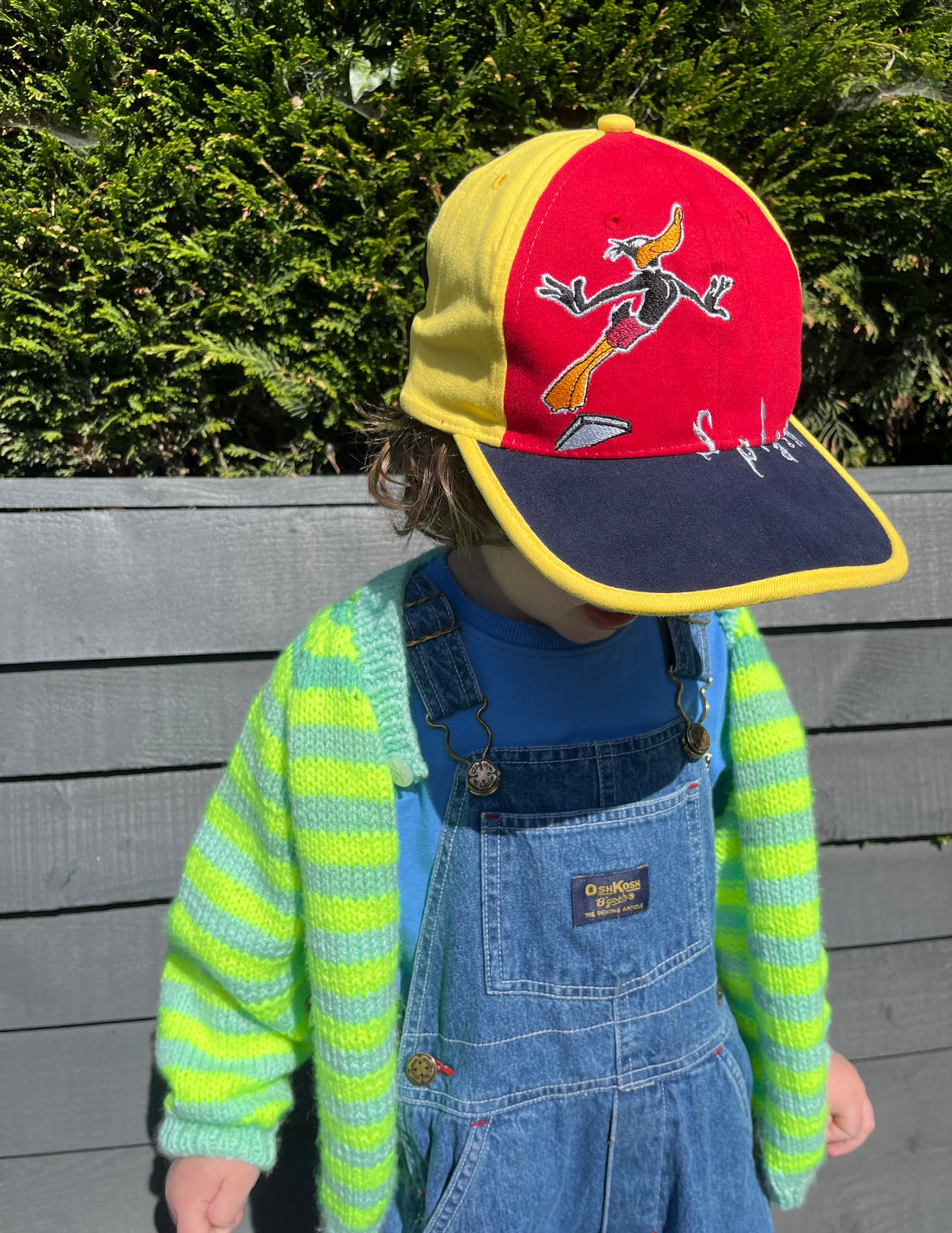 Vintage Deadstock Daffy Duck Colour Block SnapBack Cap