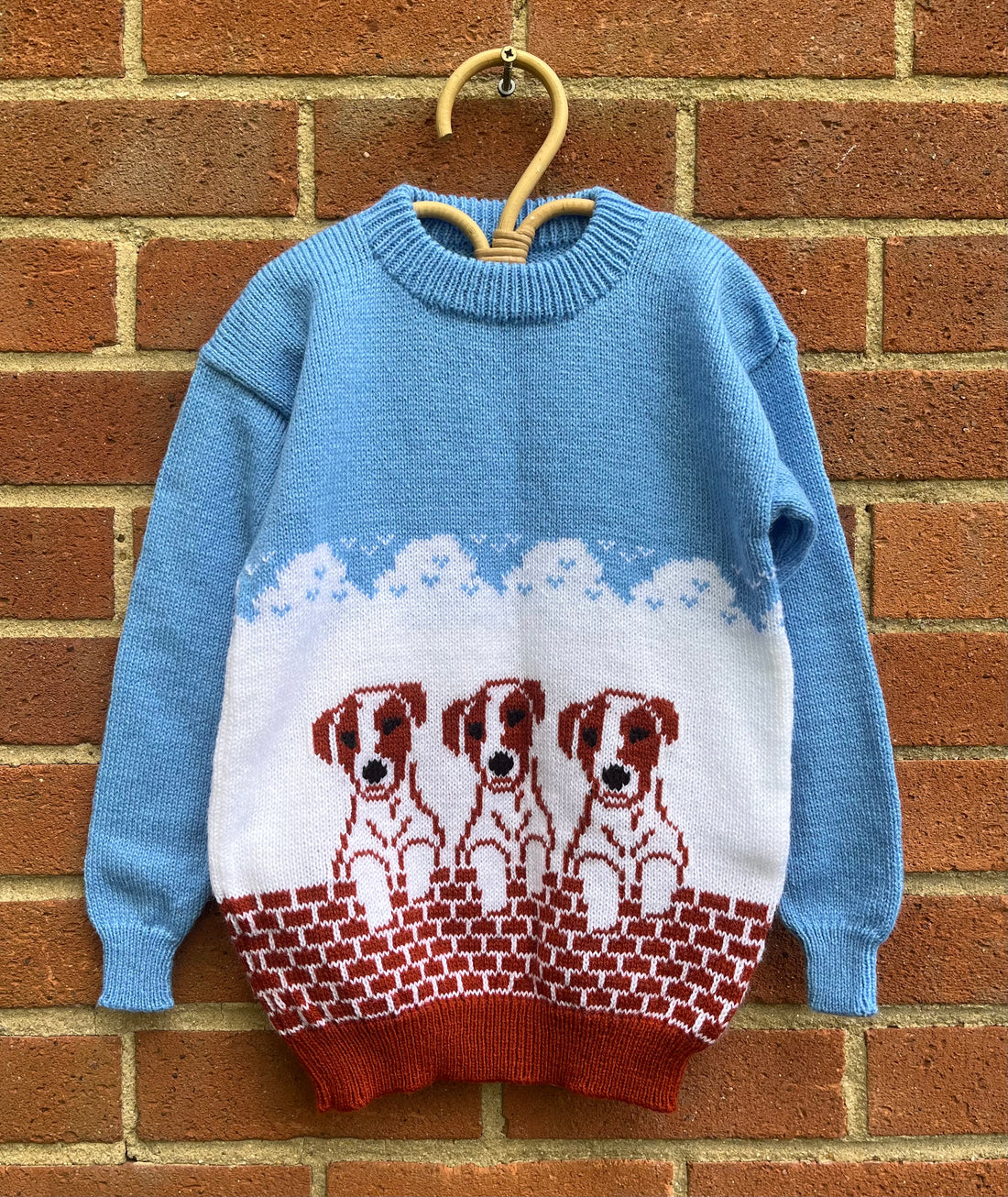 Blue Puppy Dog Hand Knitted Jumper ~ 5-6 Years